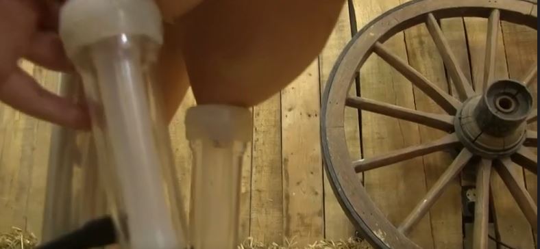 Chessie Kay lactation